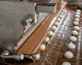 opérateur de production en industrie du chocolat