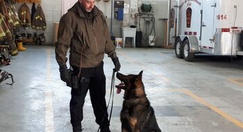 Fiche métier : Policier·ère à la brigade canine - Métiers.be