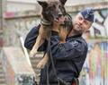 policier à la brigade canine