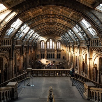 Job étudiant insolite : Gardien de musée